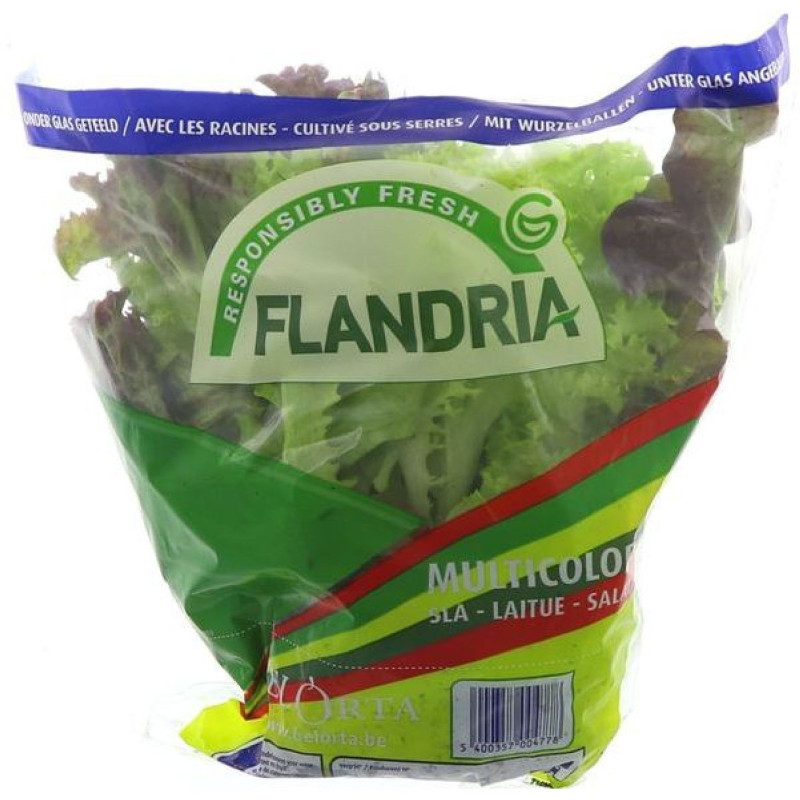 TRIO SALADE AVEC RACINE 8PCS